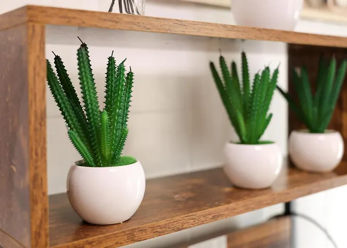 Dina House Quinzico Nazaré